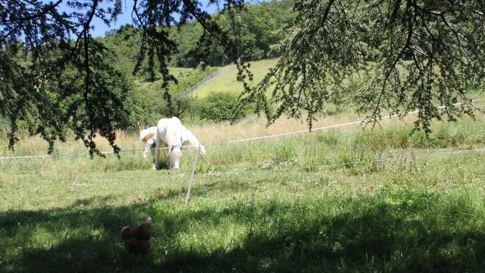 Comfortable Village Apartment In Barbieres With Access To Large Garden With Beautiful Views 0*,  France